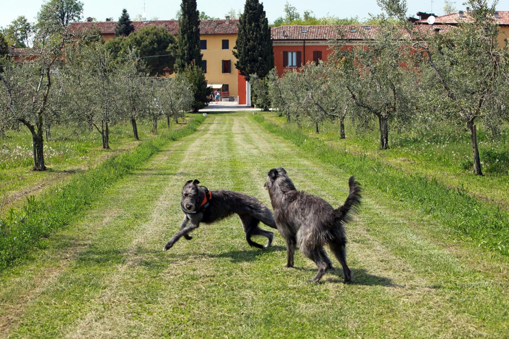 Agriturismo La Filanda Манерба-дель-Гарда Екстер'єр фото
